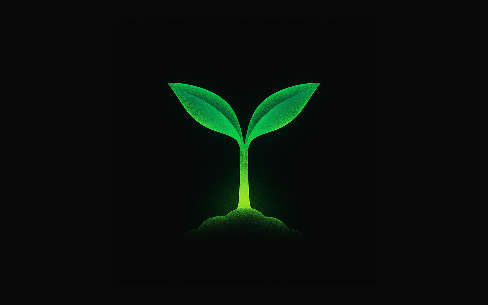 Digital Gardens
