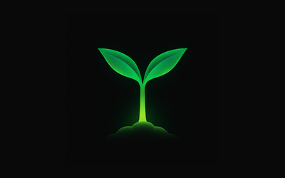 Digital Gardens
